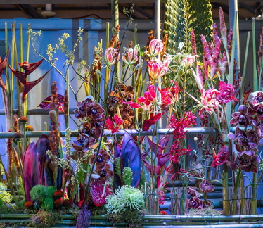 Philadelphia Flower Show