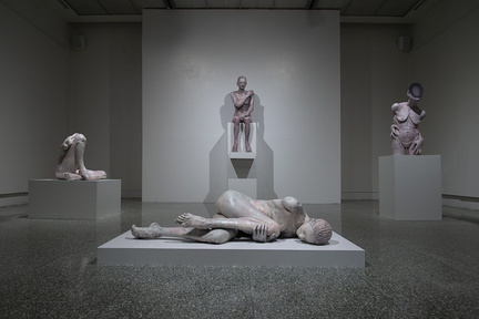 Solo Exhibition: Embodied