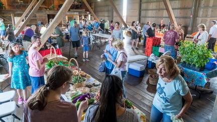 Farmer's Market at Salomon Farm Park