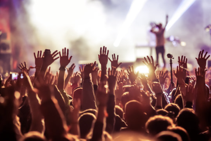 Concert Crowd Stock