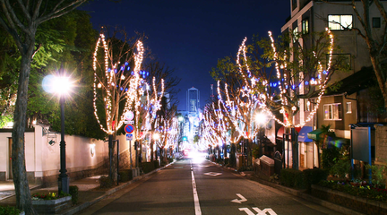 Christmas Street