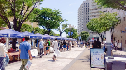Harbour Market