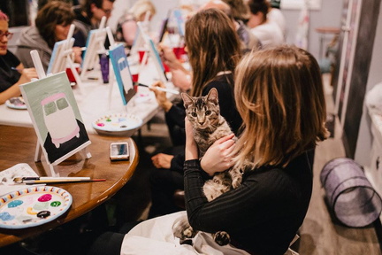 Cats &amp; Canvas