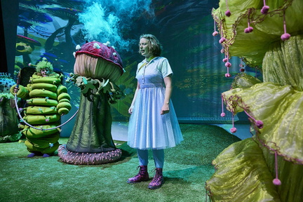 Alice Im Wunderland