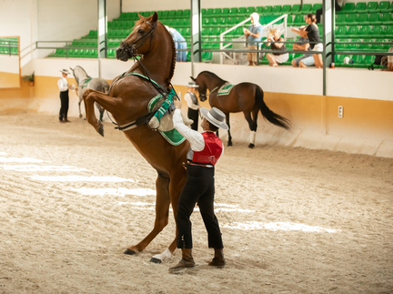 Ritmo A Caballo