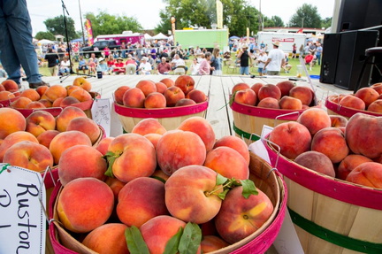 Porter-Peach-Festival-1 44E48AF5-5056-A36A-0BC2D20DE0A10F3E 44e5c77e-5056-a36a-0b4d8a62e0931f18