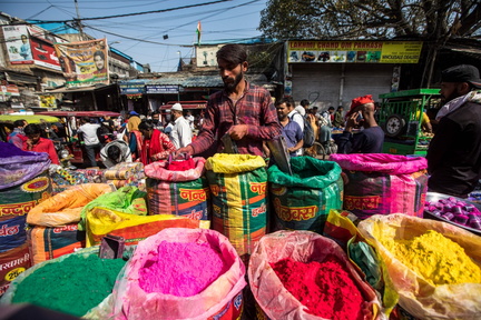 Holi Special Flea Market Exhibition