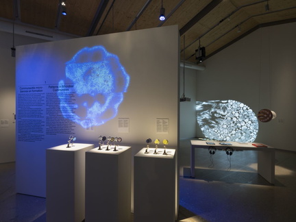 Shapes Patterns in Art and Science