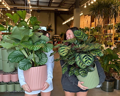 7th Annual Plant Market