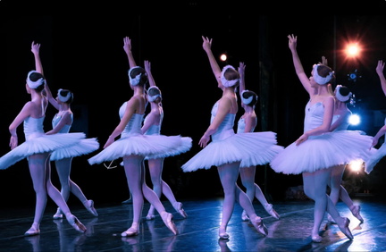 Swan Lake by Dance Alive National Ballet