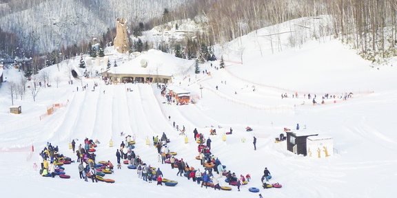 Winter Nature Park Tour