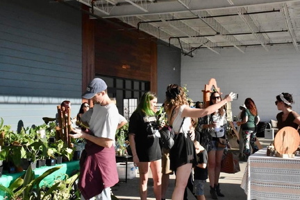 SE Rare Plant Market