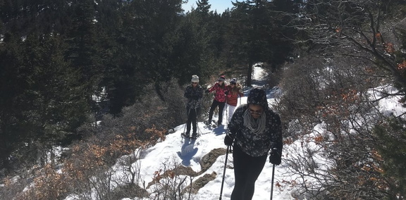 Sandia Peak Snowshow Tours