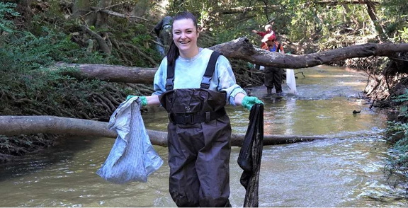 Mardi Gras Bead Tree Cleanup