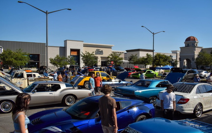 Gainesville Cars and Coffee