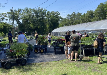 Spring Pop-Up Market