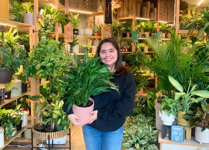 Annual Plant Market
