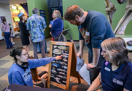 Pop-up Museum Springs