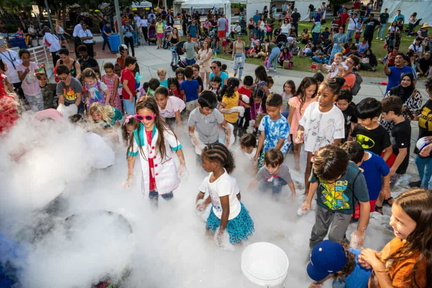 Science Festival