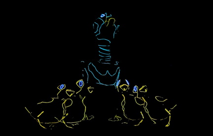 The Ugly Duckling