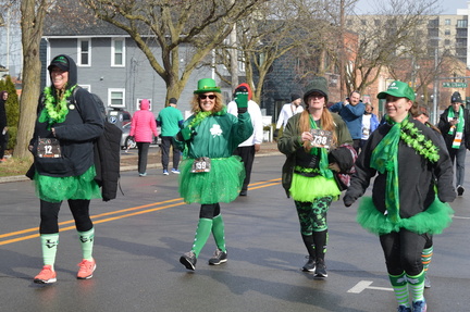 Shamrocks_1