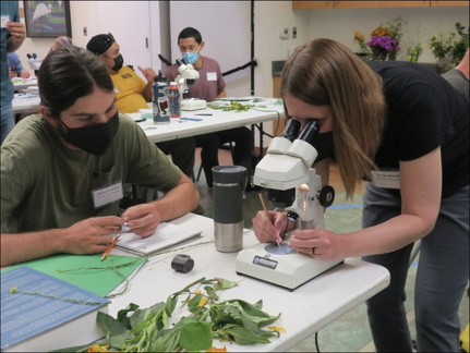 Native &amp; Perennial Plants Workshop