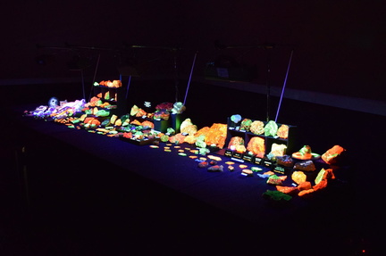 Kansas City Gem and Mineral Show