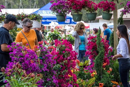 Annual Master Gardeners' Spring Festival