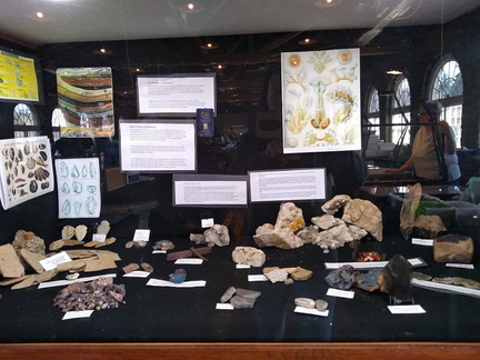 aiken augusta annual gem, mineral, and fossil show