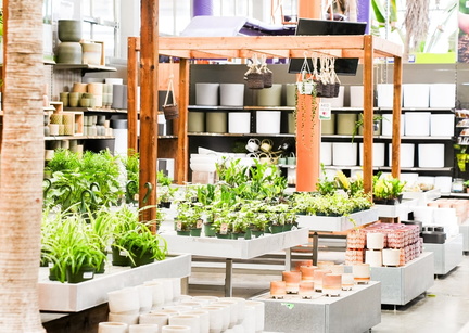 MRKT  The Spring Edit YXE