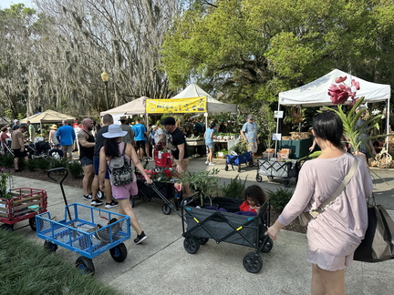 Annual Plant Sale