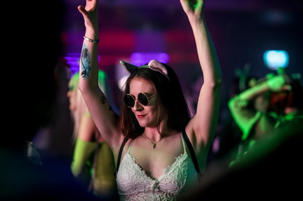 Shrek Rave1