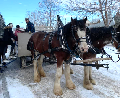 2025 Eastview Winter Carnival