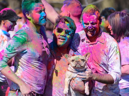 Toroto Fuzion Holi