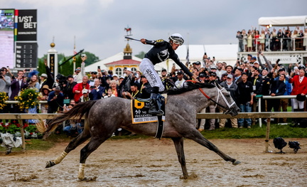 Baltimore Preakness state