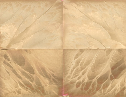 Opening Reception: As the wind blew: the ground beneath me
