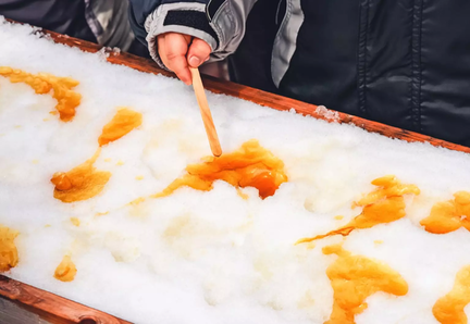 Maple Magic Festival 2025