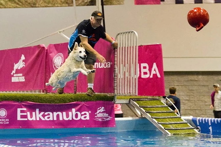 All American Pet Expo1.v1