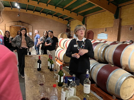 Tour del Vino del Valle del Maipo