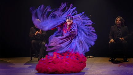 Flamenco Festival