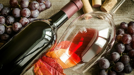 Le diverse espressioni del Sangiovese