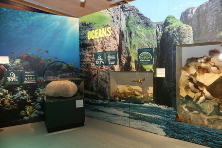 Thinktank-20216 Oceans