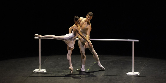 roberto bolle and friends