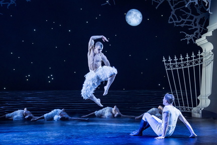 Swan Lake