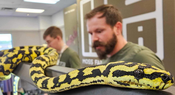 Reptile Show