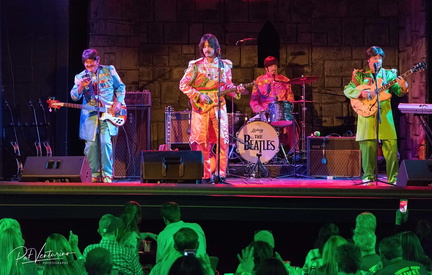 Re-Live The Beatle