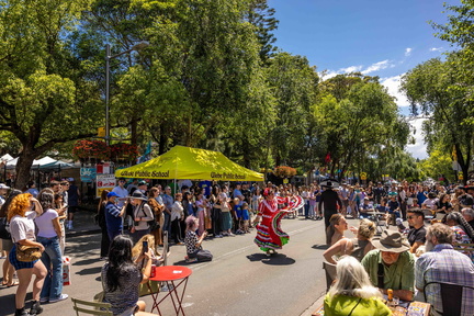 Sydney Streets on Glebe Point Road