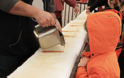 Maple Festival Stock
