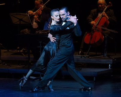 luis bravo's forever tango
