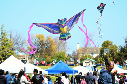 643b4039c057b.image